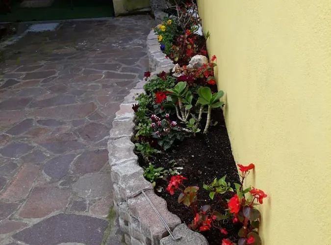 Flowery House